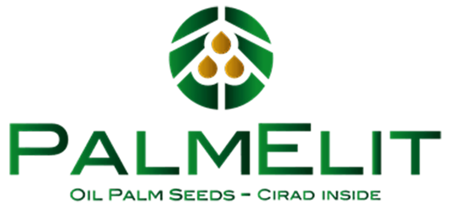 PALMELIT